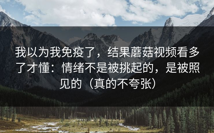 我以为我免疫了,结果蘑菇视频看多了才懂:情绪不是被挑起的,是被照见的(真的不夸张)